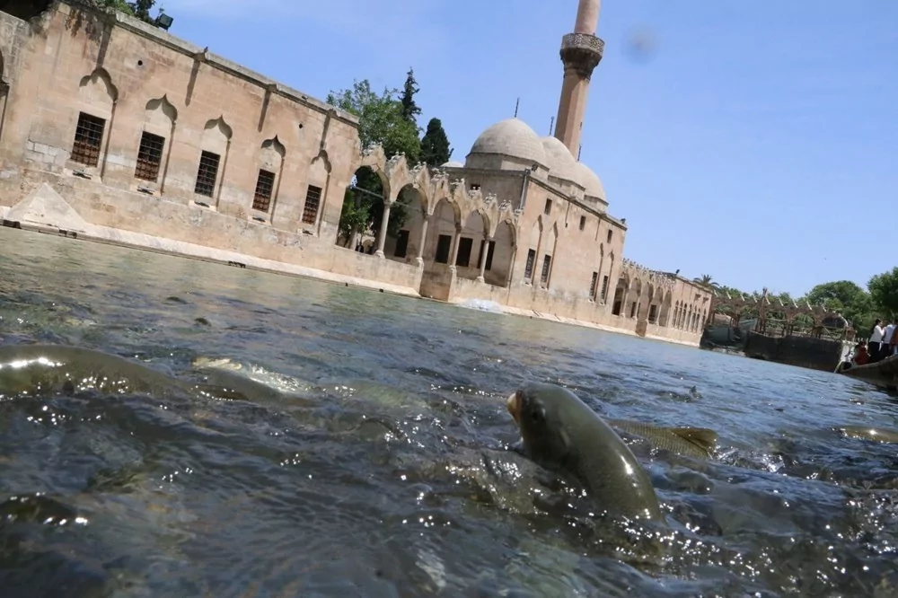 Balıklıgöl normale dönüyor