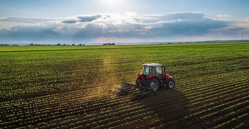 Ev alamayanın gözü tarlalarda!