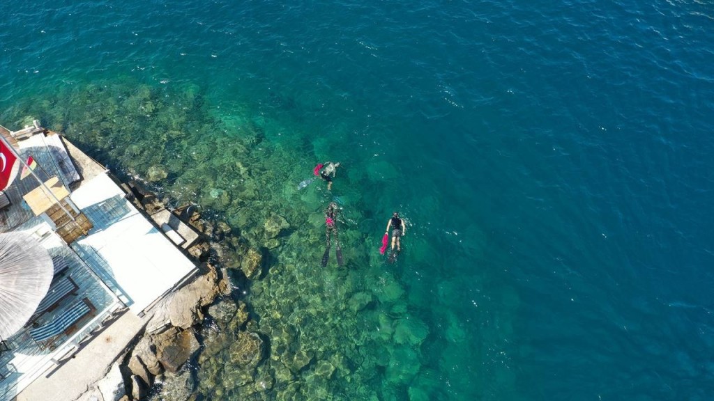 Bodrum'da denizden yarım ton atık çıkarıldı