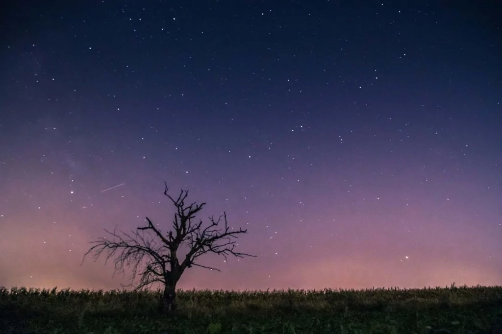 12-13 Ağustos gecesi 'yıldız kayması' olarak söylenen meteor yağmuru görülebilecek
