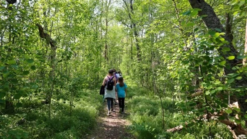 Telefon kullanımının bırakılması için ada kuruldu