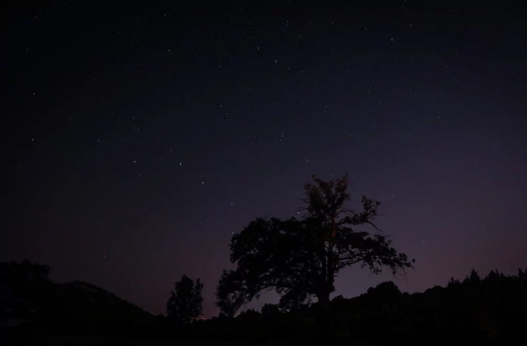 Bursa Uludağ'da görüntülendi! İşte Perseid meteor yağmuru
