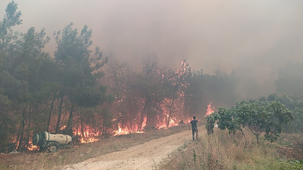 Bursa'da orman yangınından kahreden görüntüler...