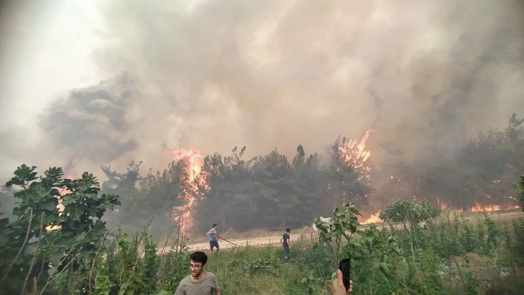 Bursa'da orman yangınından kahreden görüntüler...