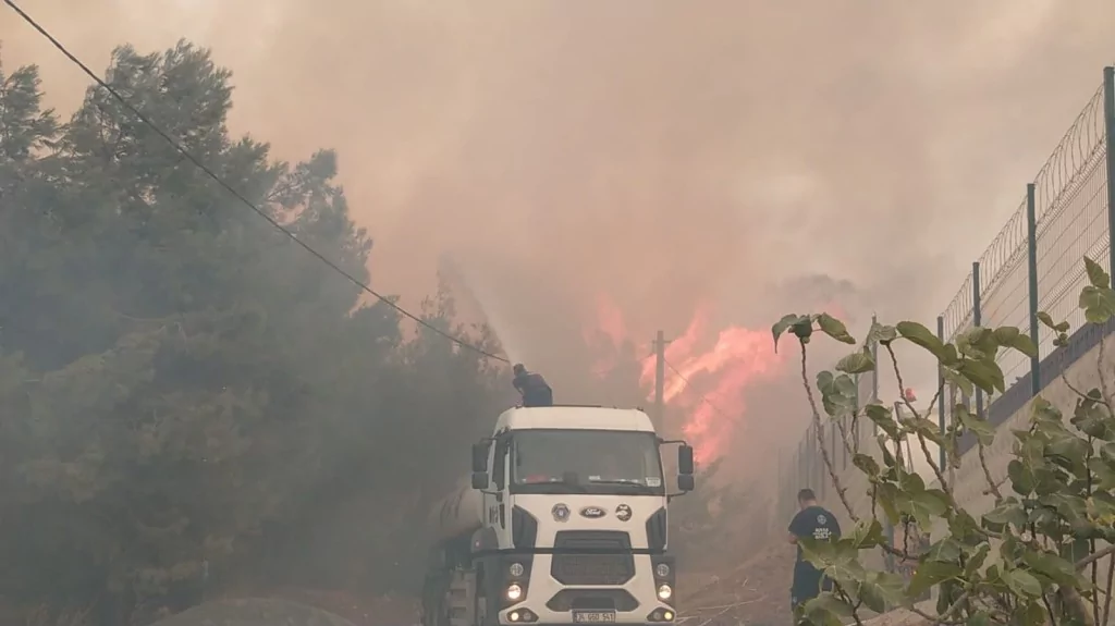 Bursa'da orman yangınından kahreden görüntüler...