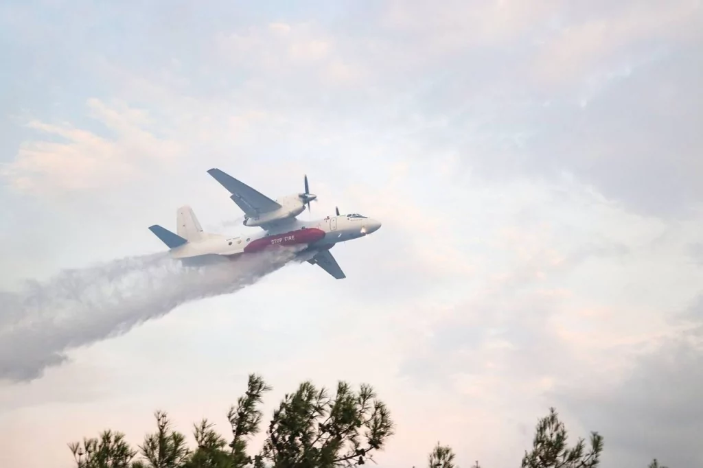 Bursa'da orman yangınından kahreden görüntüler...