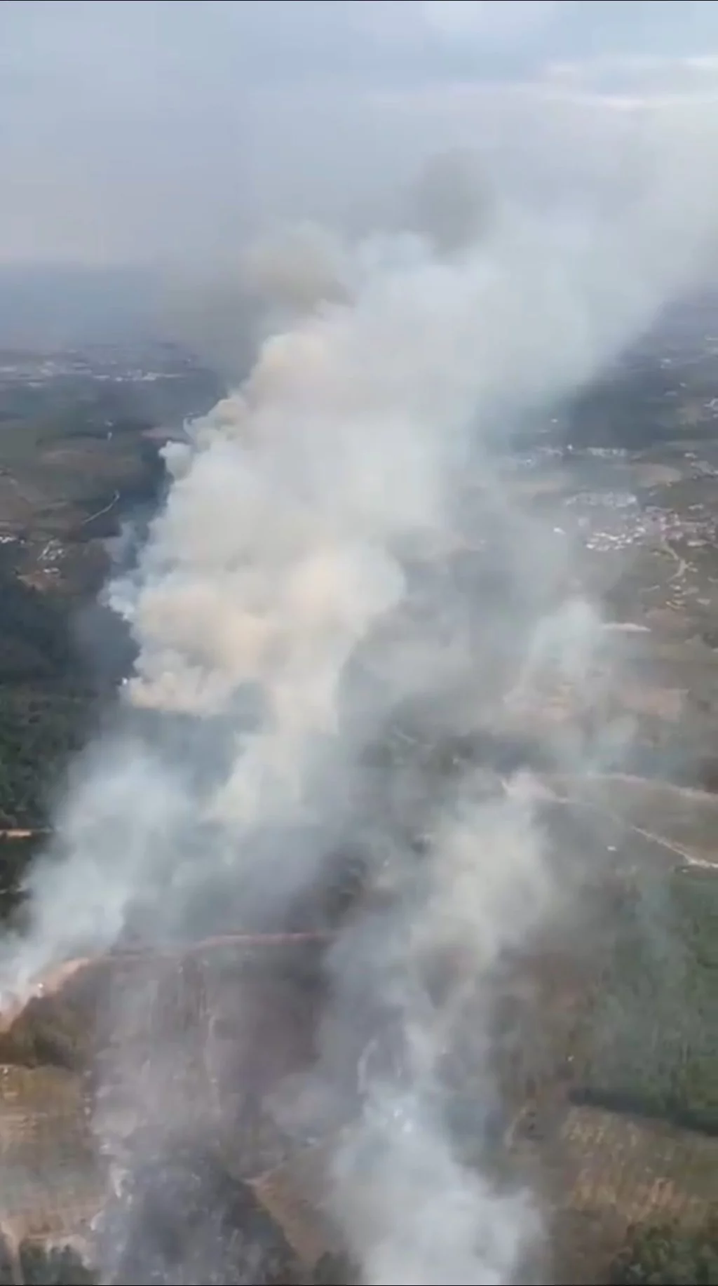 Bursa'da orman yangınından kahreden görüntüler...