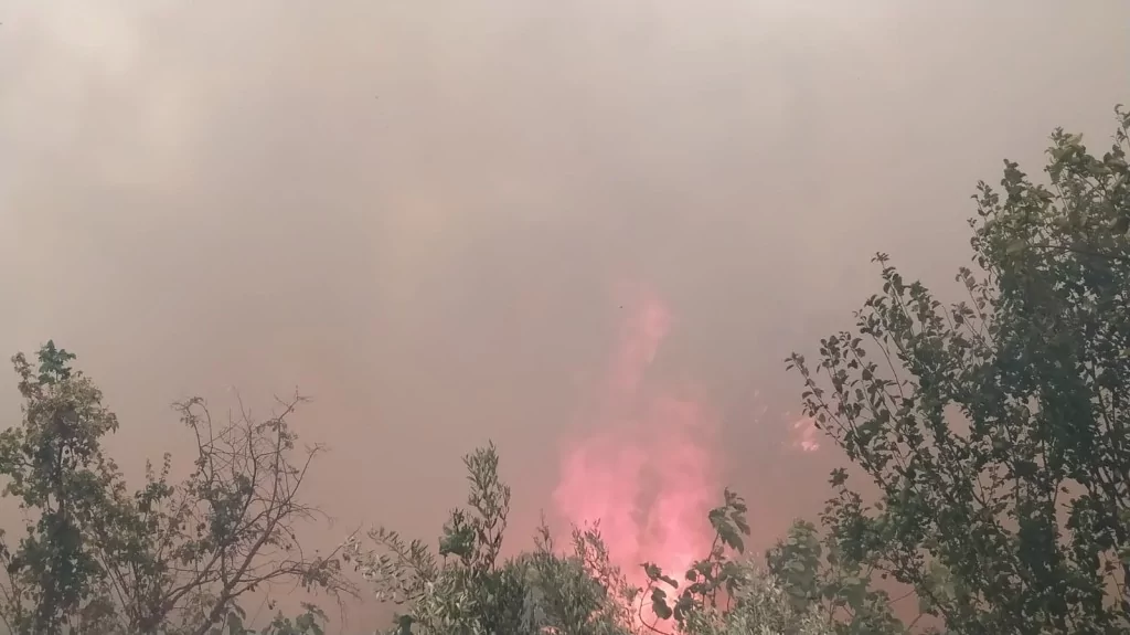 Bursa'da orman yangınından kahreden görüntüler...