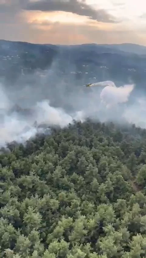 Bursa'da orman yangınından kahreden görüntüler...