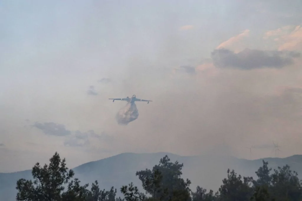 Bursa'da orman yangınından kahreden görüntüler...