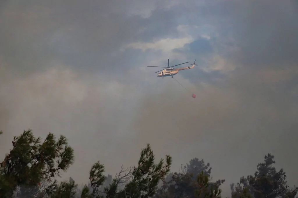 Bursa'da orman yangınından kahreden görüntüler...