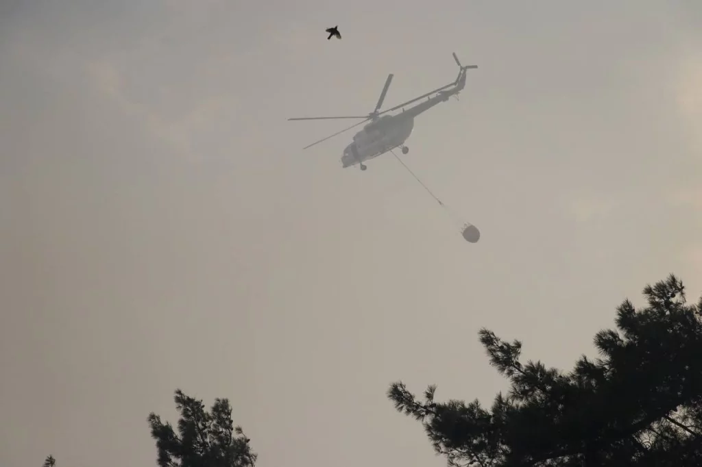 Bursa'da orman yangınından kahreden görüntüler...