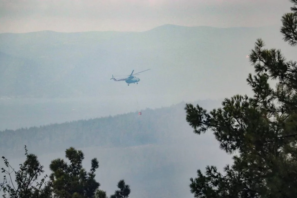Bursa'da orman yangınından kahreden görüntüler...