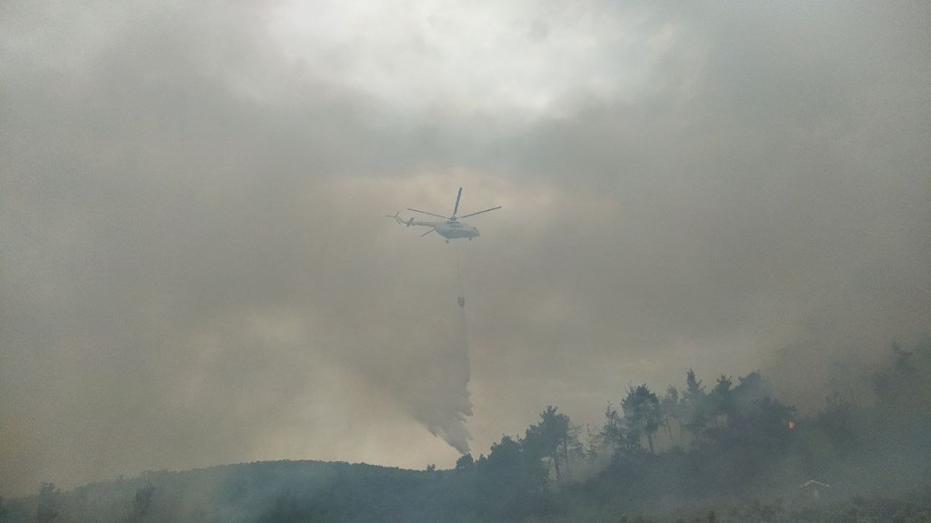 Bursa'da orman yangınından kahreden görüntüler...