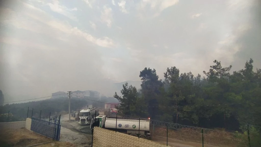 Bursa'da orman yangınından kahreden görüntüler...