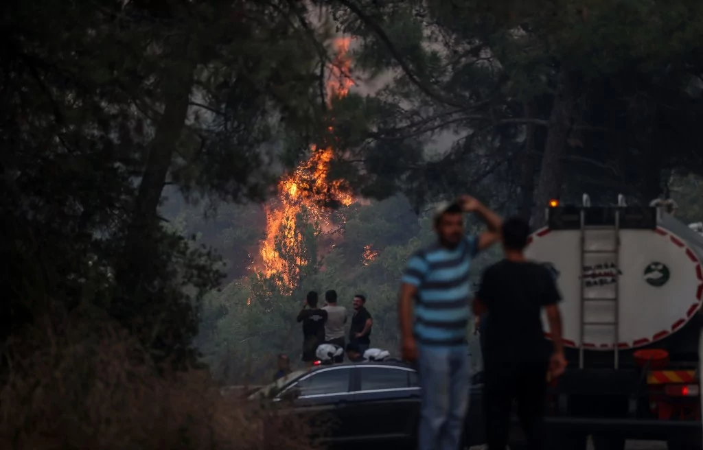 Bursa'da orman yangınından kahreden görüntüler...
