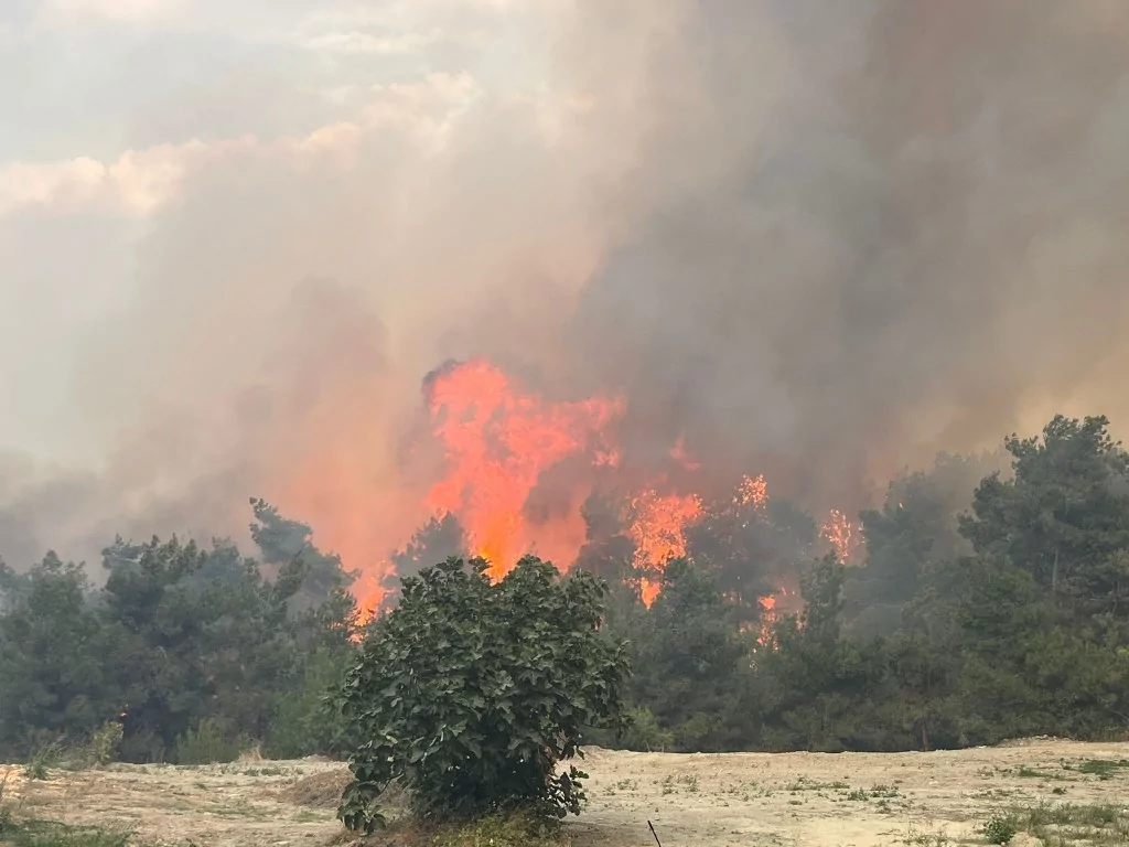 Bursa'da orman yangınından kahreden görüntüler...