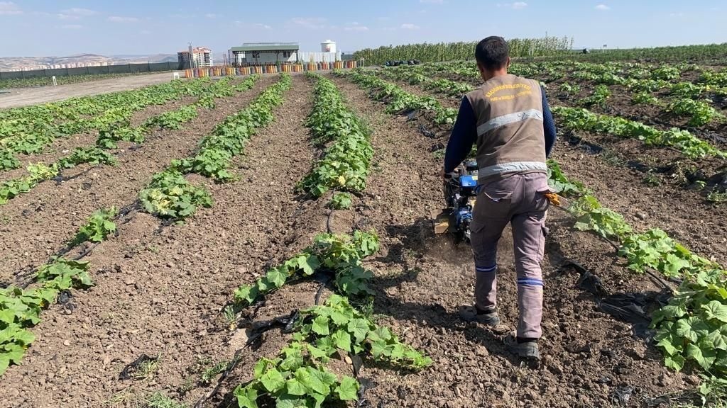 Hangi ülkede kaç saat mesai yapılıyor? İşte rapor