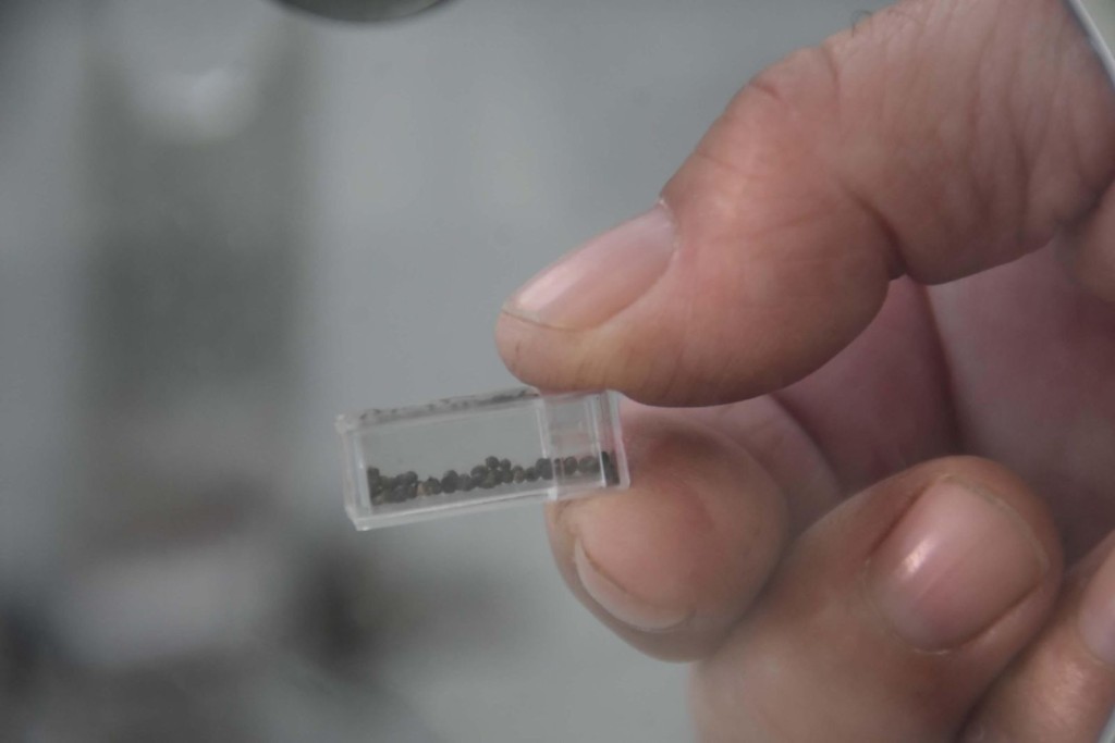 İzmir'de 8 bin 200 yıllık atölye bulundu