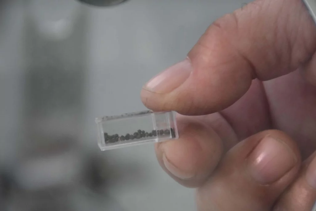 İzmir'de 8 bin 200 yıllık atölye bulundu