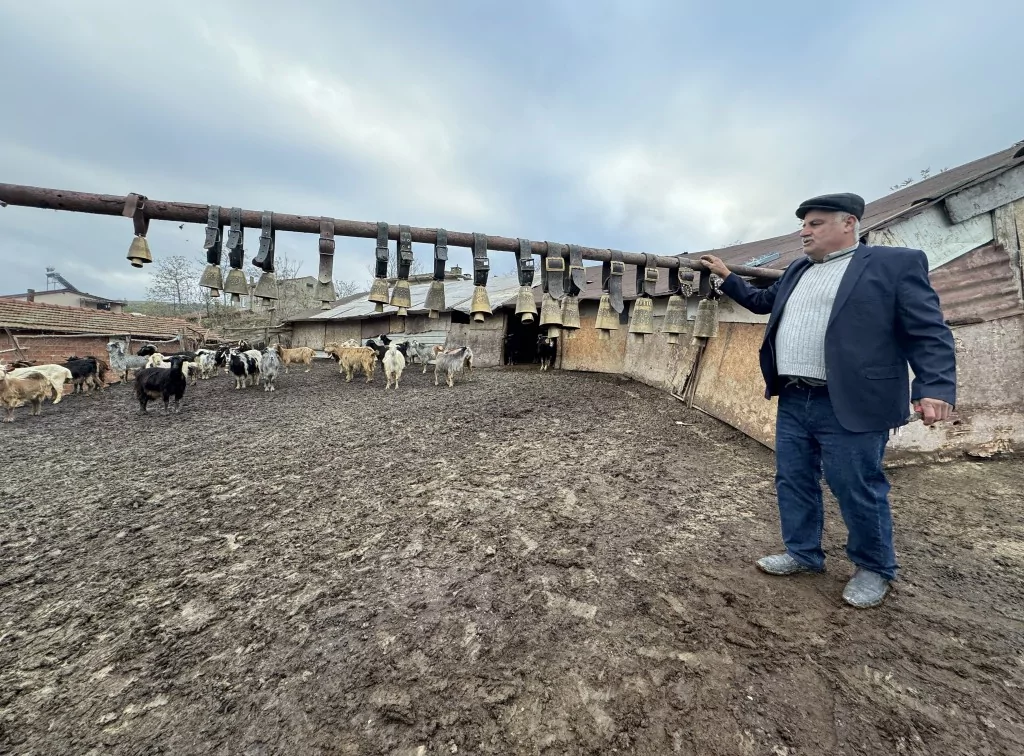 Tekirdağ'da keçi yetiştiren yaşlı adam çanlarla müzik yapıyor