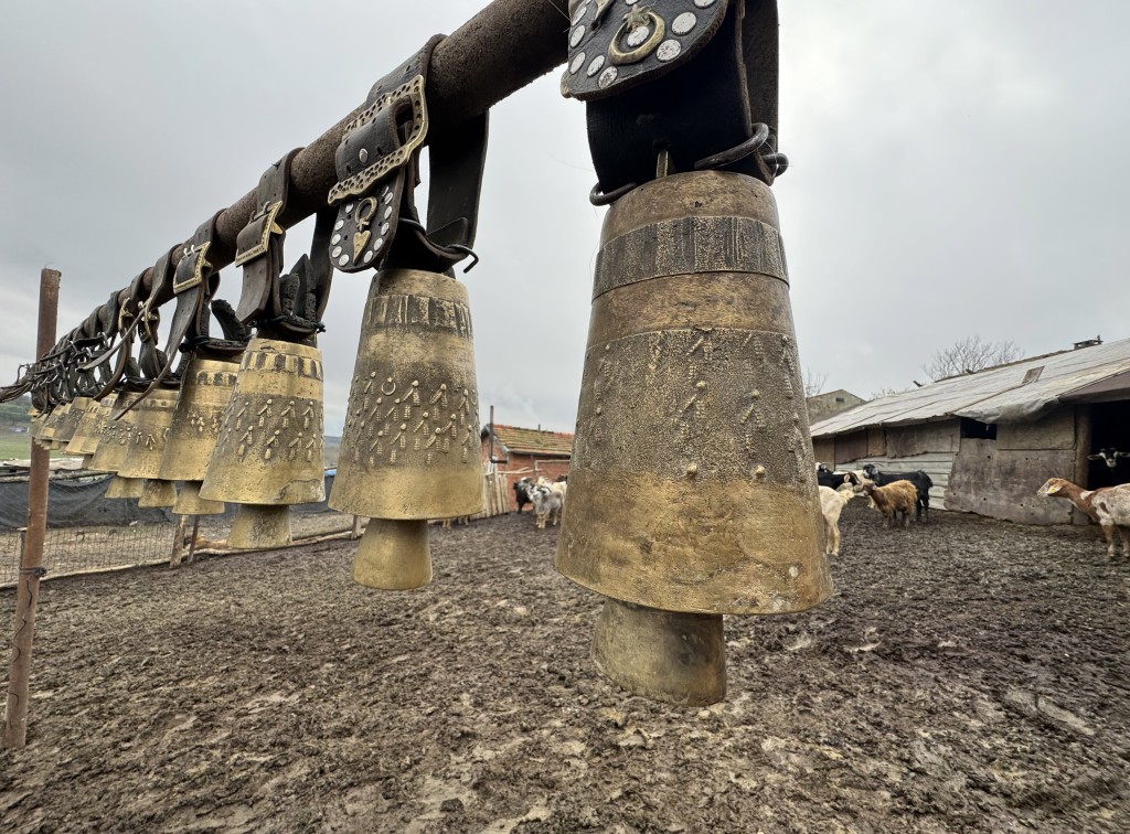Tekirdağ'da keçi yetiştiren yaşlı adam çanlarla müzik yapıyor
