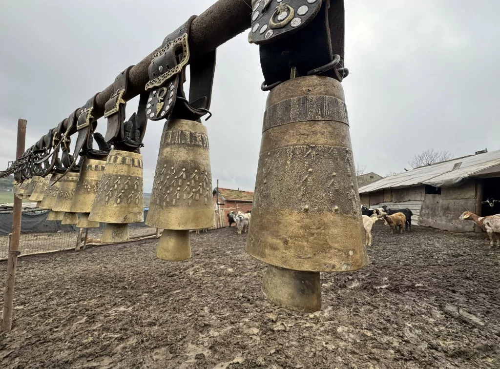 Tekirdağ'da keçi yetiştiren yaşlı adam çanlarla müzik yapıyor