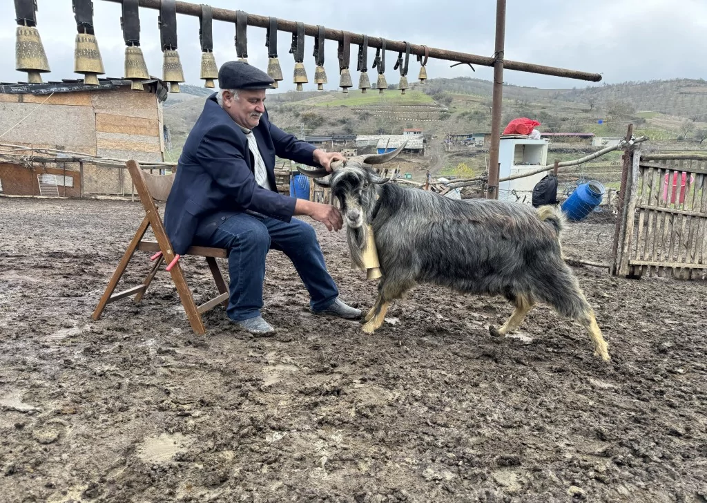 Tekirdağ'da keçi yetiştiren yaşlı adam çanlarla müzik yapıyor