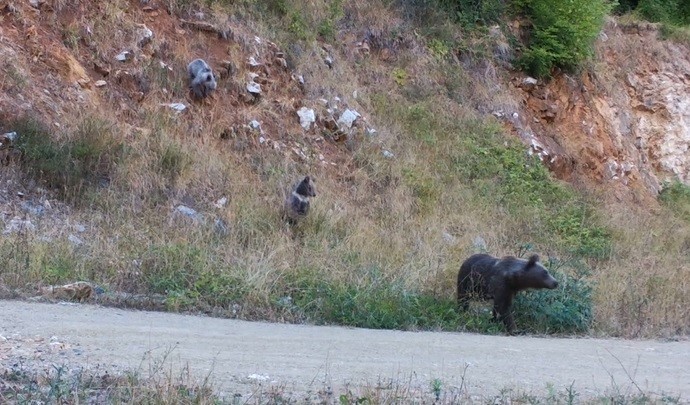 Bursa Uludağ'ın eteklerinde renkli görüntüler!