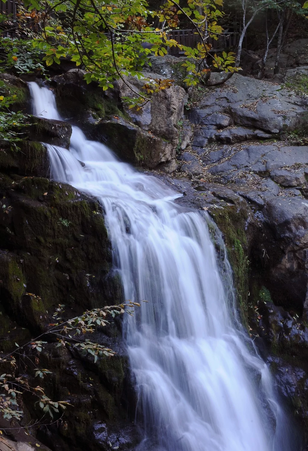 Yalova'nın yeni rotası: Doğa turizmi