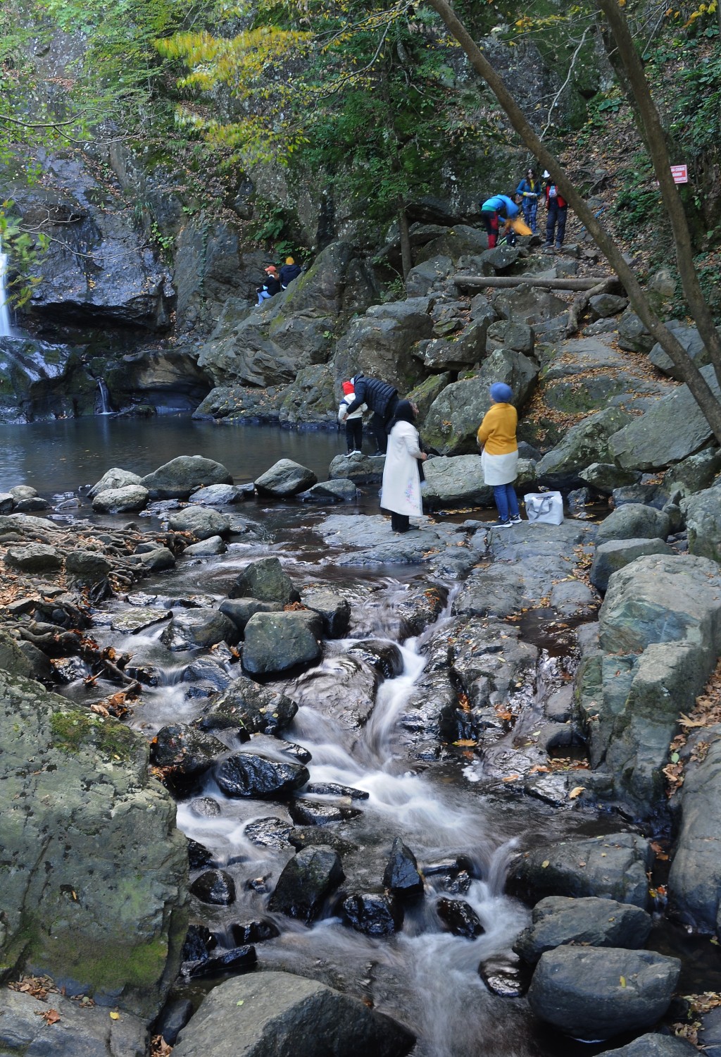 Yalova'nın yeni rotası: Doğa turizmi
