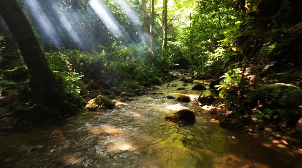 Yalova'nın yeni rotası: Doğa turizmi