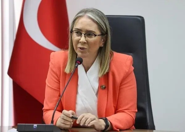 Z kuşağına göre TBMM'deki en etkili 10 milletvekili