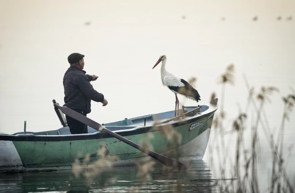 Yaren leylek 13. yılda da göçüp geldi
