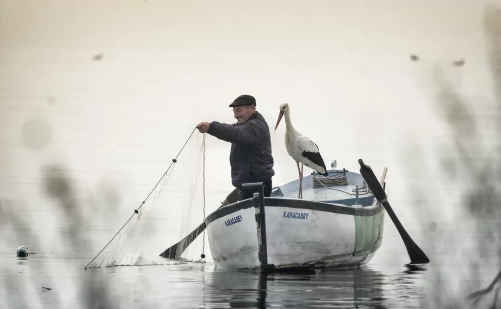 Yaren leylek 13. yılda da göçüp geldi
