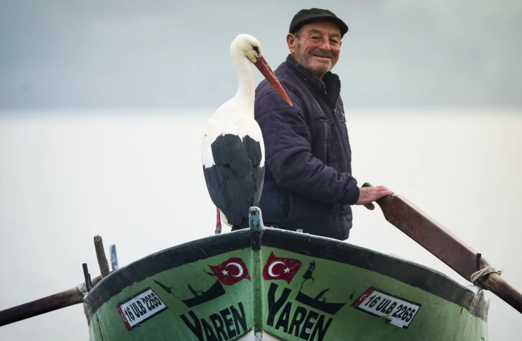 Yaren leylek 13. yılda da göçüp geldi