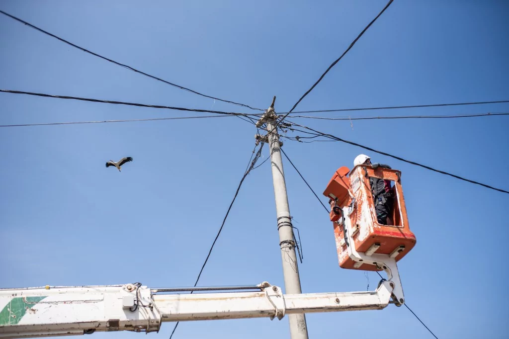 Eskikarağaç'taki leylek yuvalarında bahar temizliği yapıldı