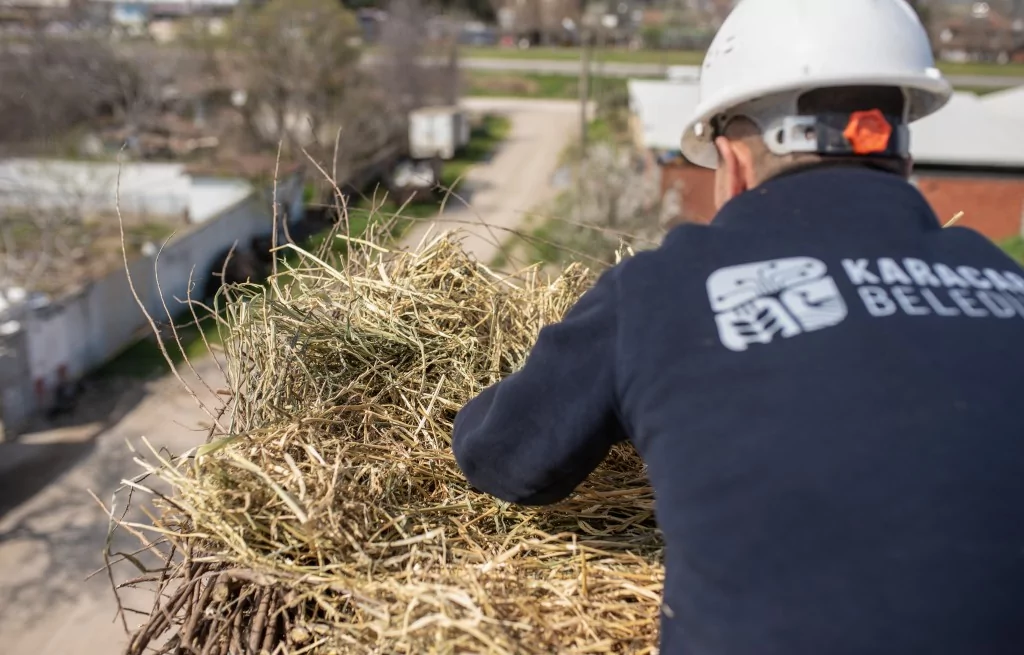 Eskikarağaç'taki leylek yuvalarında bahar temizliği yapıldı