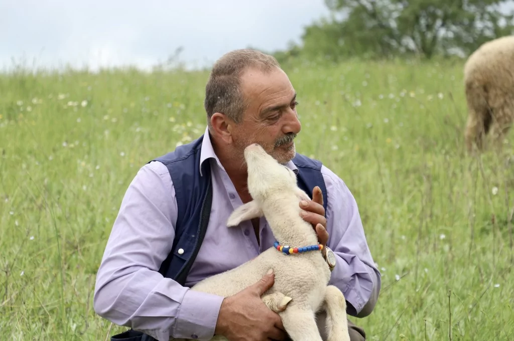 Bursa'da 20 günlük kuzu sahibinin peşinden ayrılmıyor