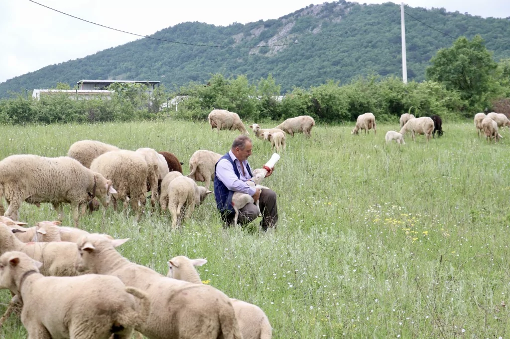 Bursa'da 20 günlük kuzu sahibinin peşinden ayrılmıyor