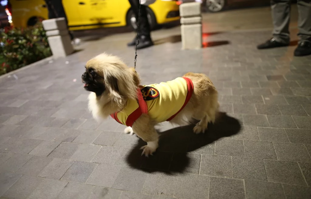 Bursa'da Galatasaray'ın şampiyonluk coşkusu zirve yaptı