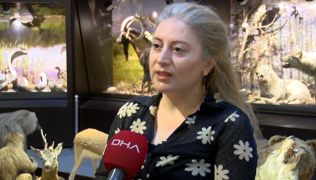BUÜ Zooloji Müzesi'nde, trafik kazasında ve doğada ölen hayvanlar, tahnit edilerek sergileniyor