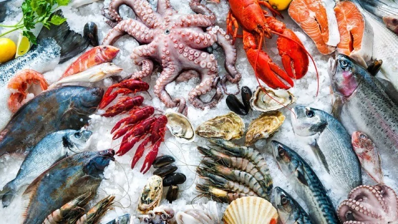 Her hafta düzenli balık yediğinizde vücudunuzda neler olur?