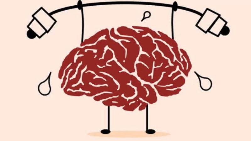 Her hafta düzenli balık yediğinizde vücudunuzda neler olur?