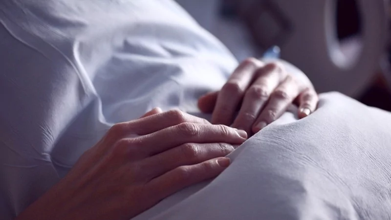 Her hafta düzenli balık yediğinizde vücudunuzda neler olur?