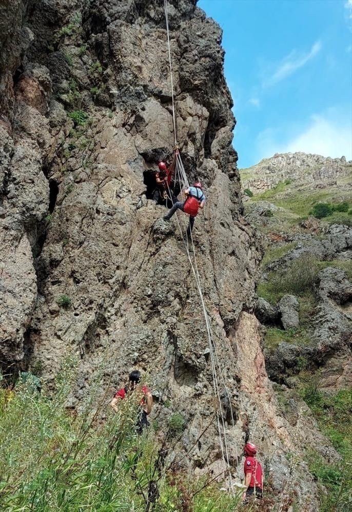 Ardahan'da şoke eden keşif: Hepsi birbiriyle bağlantılı!