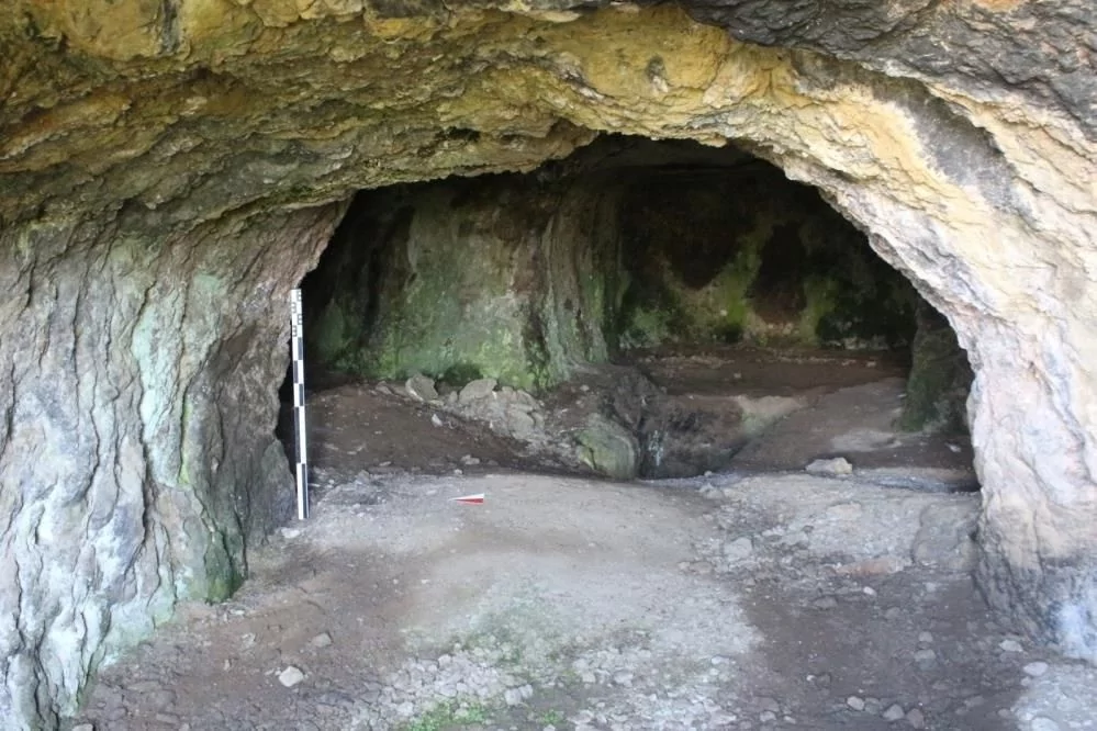 Ardahan'da şoke eden keşif: Hepsi birbiriyle bağlantılı!