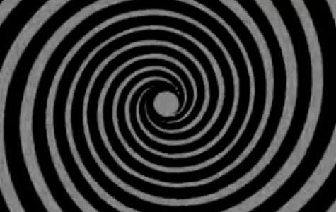 Siz önce hangi hayvanı gördünüz? Kişiliğinizi söylüyor