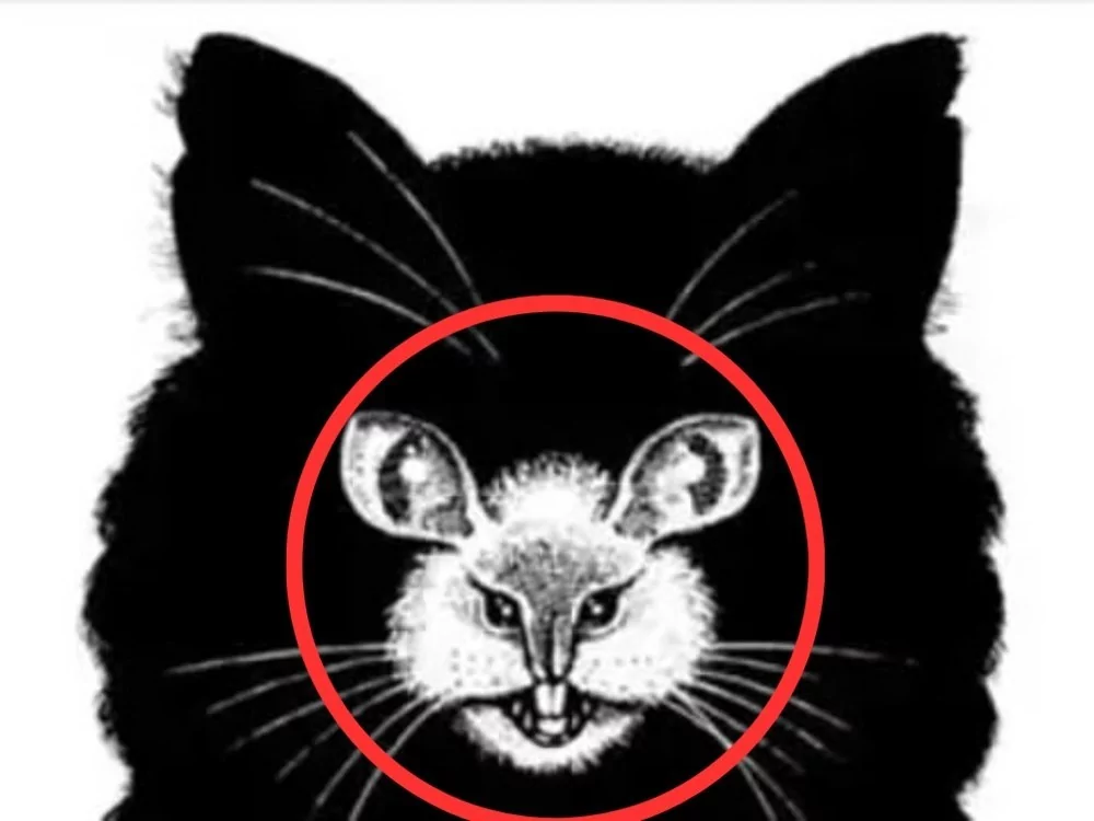 Siz önce hangi hayvanı gördünüz? Kişiliğinizi söylüyor