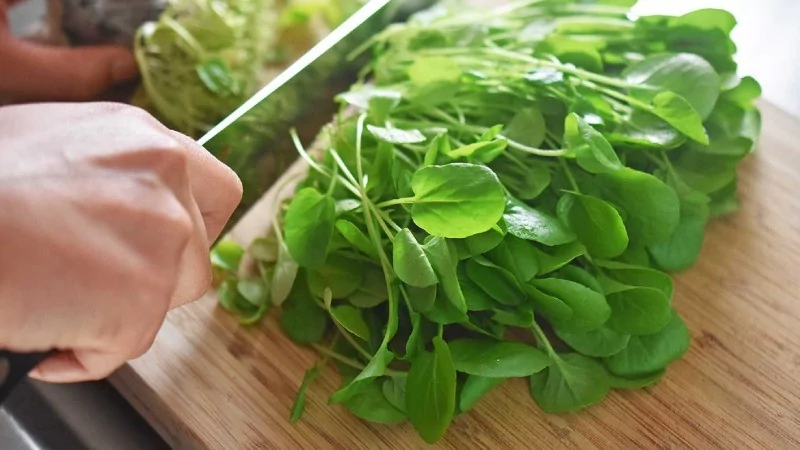 Dünyanın en sağlıklı sebzeleri seçildi! Ispanak mı su teresi mi?